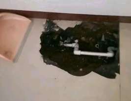 莱城卫生间测漏水多少钱
